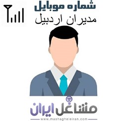 نمایش جزئیات برای مدیران شرکت های استان اردبیل تصویر مدیران شرکت های استان اردبیل